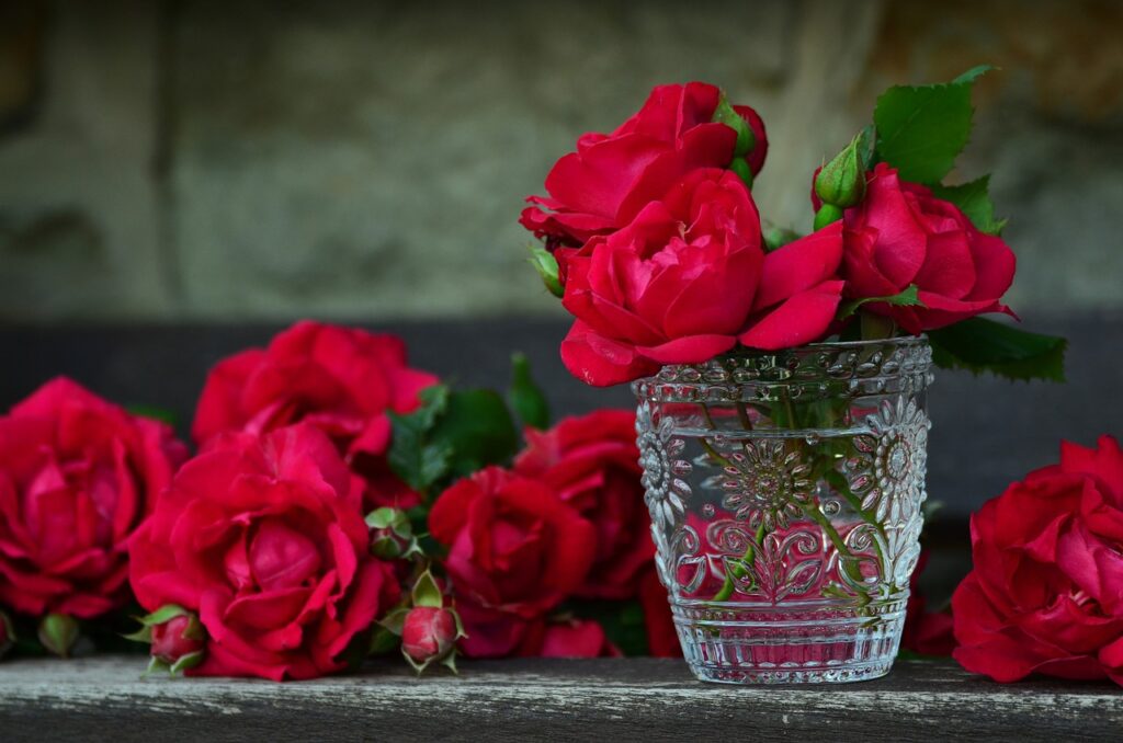 rosas rojas, colores de las flores